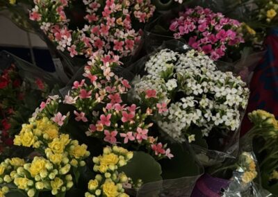 Formatura Projeto Qualifica Mulher RJ